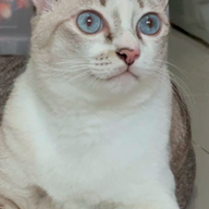 ในบ้าน cafe’