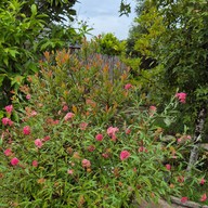 บรรยากาศ เฮือนสายน้ำผึ้ง