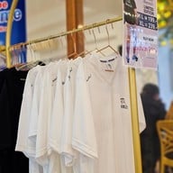 เสือหลงป่า