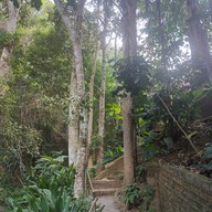 บรรยากาศ วัดคันธาพฤกษา (แม่กำปอง)