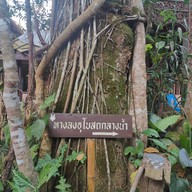 บรรยากาศ วัดคันธาพฤกษา (แม่กำปอง)