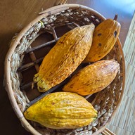 บรรยากาศ The Cocoa Tree Garden