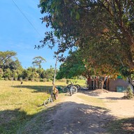 บรรยากาศ จักรยานภูกระดึง