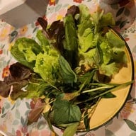 เมนูของร้าน กิ๋นลำกิ๋นดี สันทราย