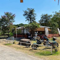 Baandin coffee&cuctus -