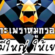 กะเพราหมูกรอบ หมีใหญ่ ให้เยอะ ถนนเฉลิมพระเกียรติ ร.9