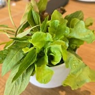 บ้านส้มตำ รังสิต