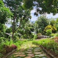 บรรยากาศ สวนผึ้งไฮแลนด์