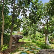 บรรยากาศ สวนผึ้งไฮแลนด์