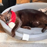 Farm to Table ไฮด์เอาท์