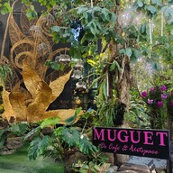 Muguet de Cafe’&Art Space