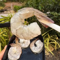 เติมเต็มพุง หมูกระทะ เติมเต็มพุง หมูกระทะวากิว แคมป์ปิ้ง