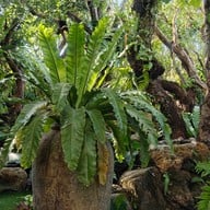 Muguet de Cafe’&Art Space