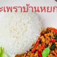 กะเพราบ้านหยก *-*