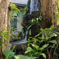 Muguet de Cafe’&Art Space