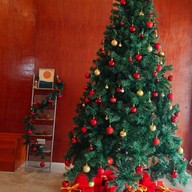 sunrise coffee (ซันไรส์ คอฟฟี่)