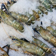 กุ้งเผา สะใภ้ริมน้ำ ตลาดกลางอยุธยา