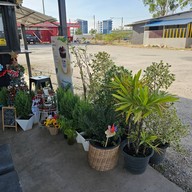 บรรยากาศ Little  Café - IP7