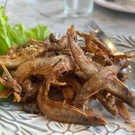 April's Brasseries -