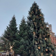 บรรยากาศ Maasmechelen Village