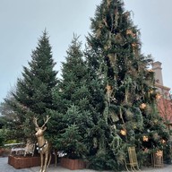 บรรยากาศ Maasmechelen Village