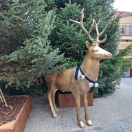 บรรยากาศ Maasmechelen Village