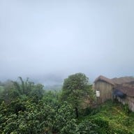 บรรยากาศ Miyo coffee & bar