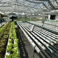 @19Food&farm