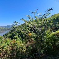 จุดชมวิวอ่างเก็บน้ำห้วยกระทิง