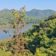 จุดชมวิวอ่างเก็บน้ำห้วยกระทิง