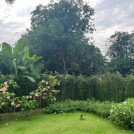 Sasi Bangkok