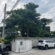 Sasi Bangkok