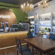 บรรยากาศ So Plants -