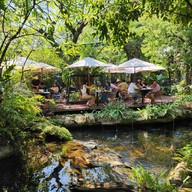 foreste café by Anna-nava