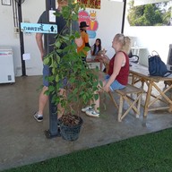 Sandwich ice cream หางดง