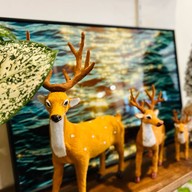 a.dept coffee Roaster