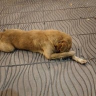 บรรยากาศ เกษรา เบเกอรี่ สิงห์บุรี