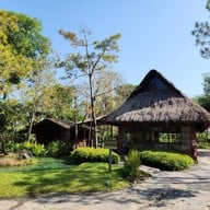 Nekoemon Cafe Chiang Mai