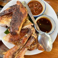 เมนูของร้าน กุหลาบดอกใหม่ บายนิวไก่ย่างบัวตอง