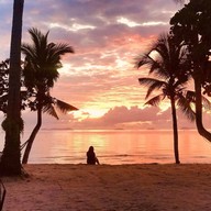 The coco Bar and Restaurant Koh Samui / เกาะสมุย