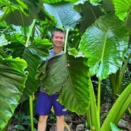 ถ้ำมรกต