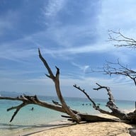 เกาะกระดาน