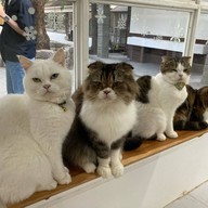 Bluegold Roaster ถ.ประดิษฐ์มนูธรรม