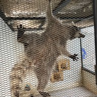 Bluegold Roaster ถ.ประดิษฐ์มนูธรรม