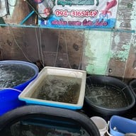 ร้านลับ หมึกช็อต ทะเลสด อ่าวอุดม 17 อ่าวอุดม ซอย 17