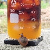 DERN Cafe สามพราน