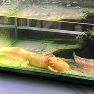 Bluegold Roaster ถ.ประดิษฐ์มนูธรรม