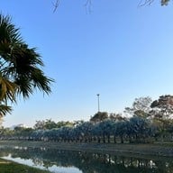 สวนสาธารณะหนองประจักษ์ศิลปาคม