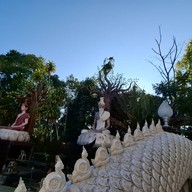 วัดป่าภูทับเบิก