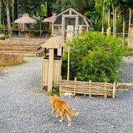 บ้านนอกคอกนา